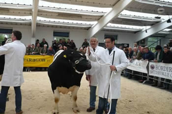 Rhys Bellis & Richard Evans